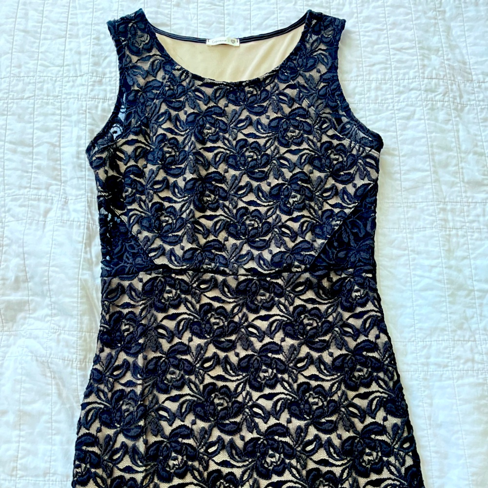 Dress for any cocktail event. Nude lining, knee length.